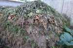 Компост, кадр із відео