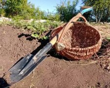 Лопата, огород, фото из свободных источников