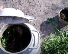 Добриво для овочів, фото: youtube.com